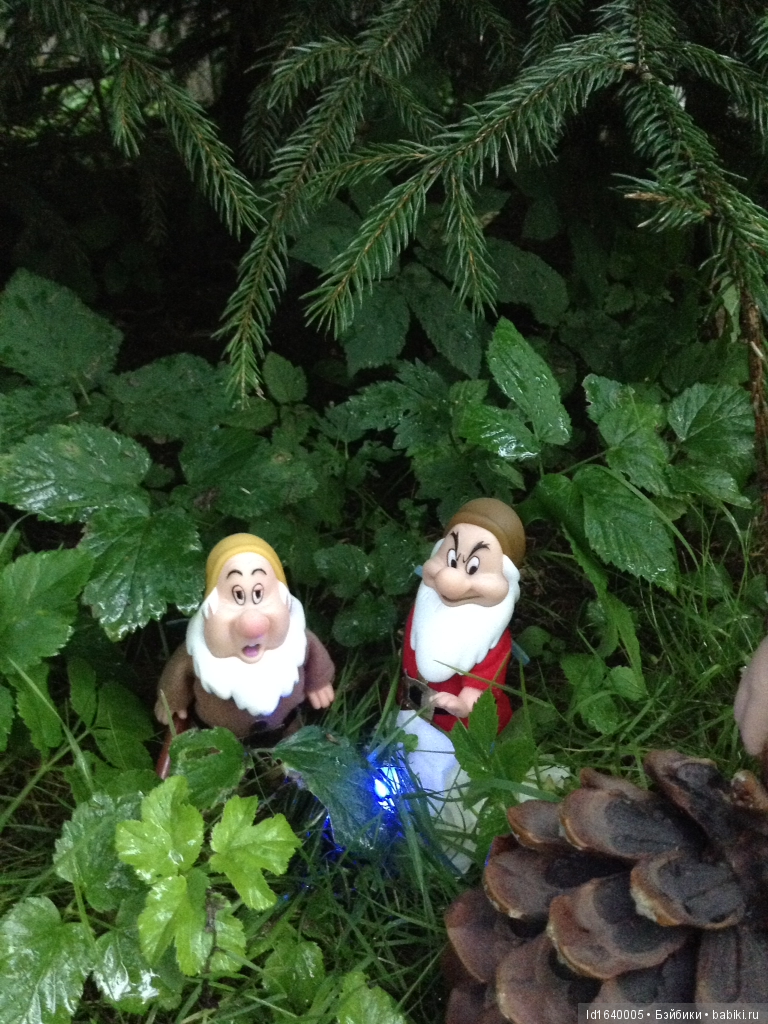 Красное наваждение или Что сорока на хвосте принесла