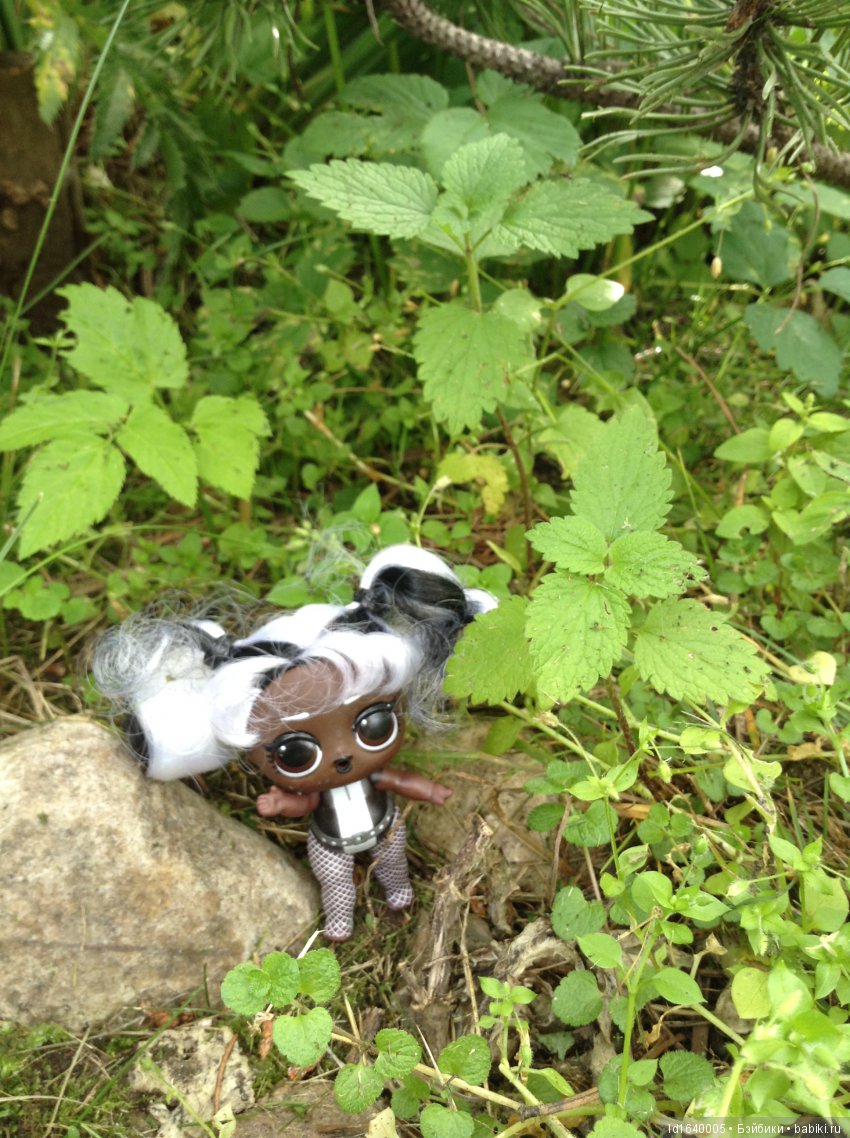 Красное наваждение или Что сорока на хвосте принесла