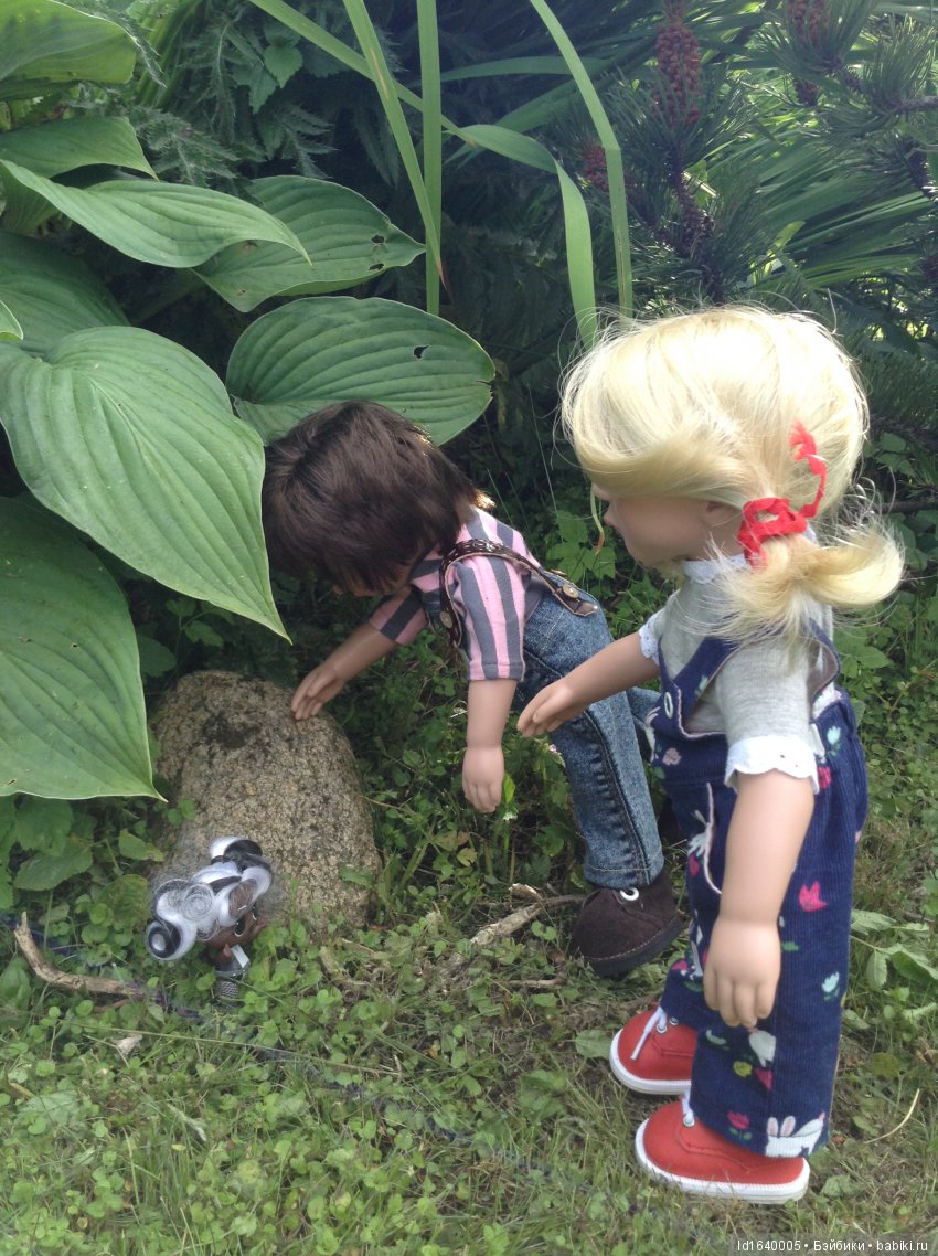 Красное наваждение или Что сорока на хвосте принесла