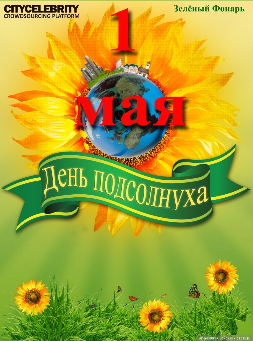 Когда отцветает гелиантус. Солнечный цветок