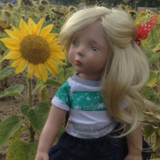 Когда отцветает гелиантус. Солнечный цветок