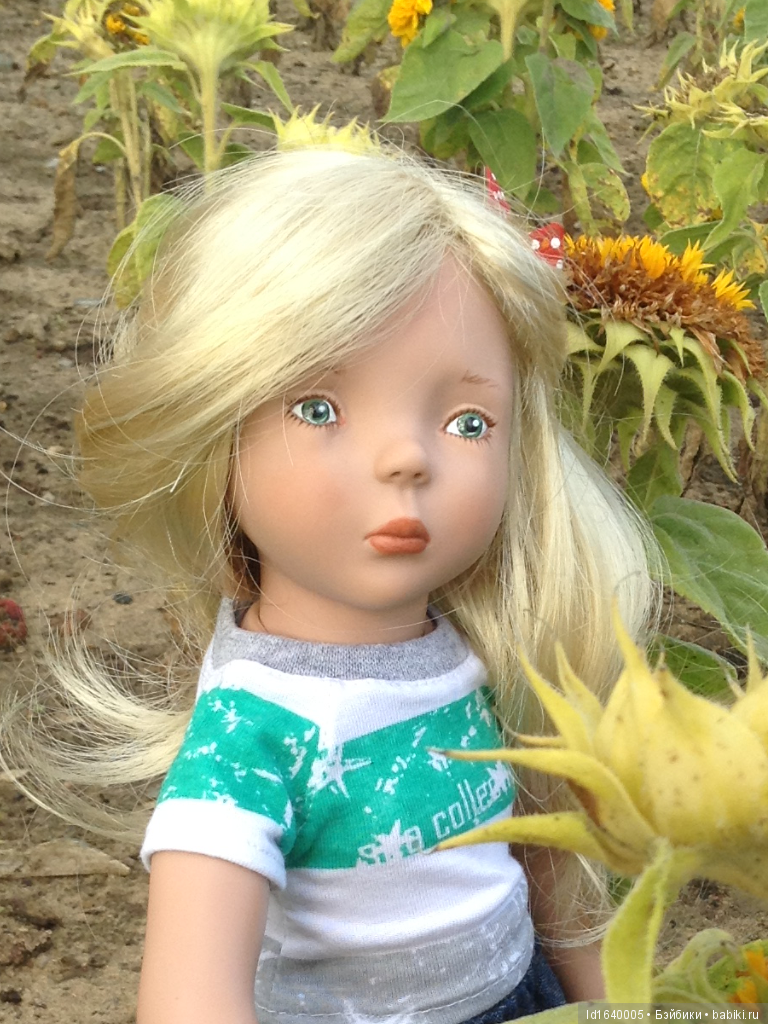 Когда отцветает гелиантус. Солнечный цветок