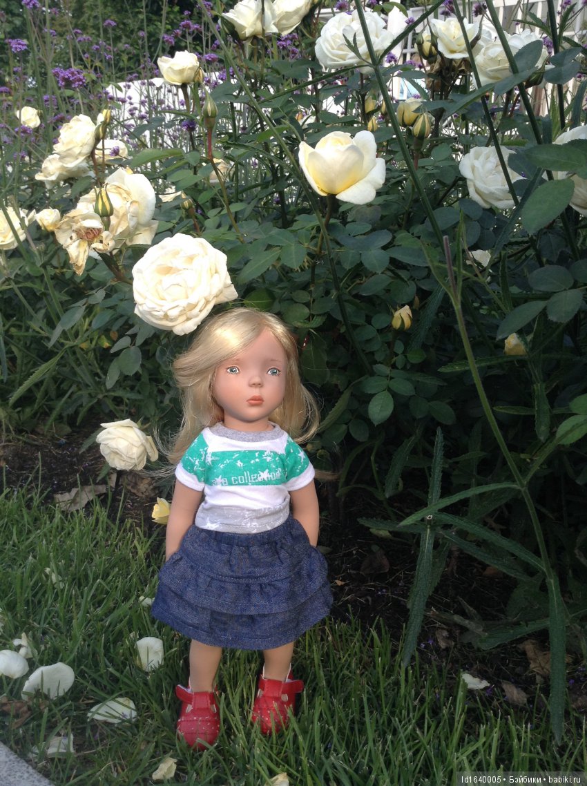 Когда отцветает гелиантус. Солнечный цветок (фото 10)