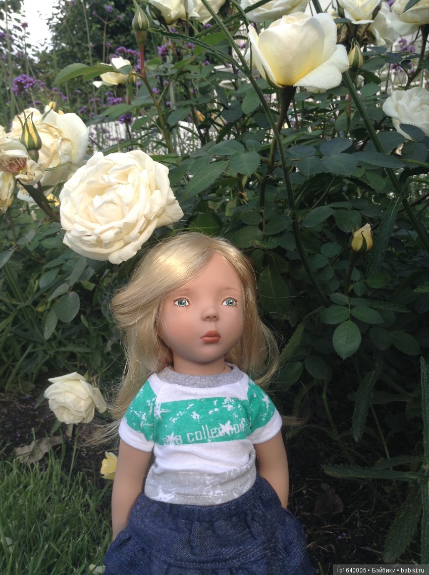 Когда отцветает гелиантус. Солнечный цветок