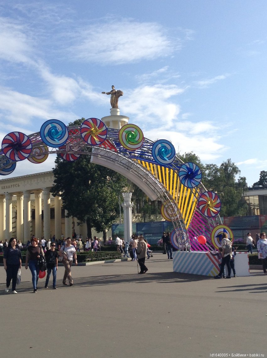 Когда отцветает гелиантус. Солнечный цветок (фото 3)