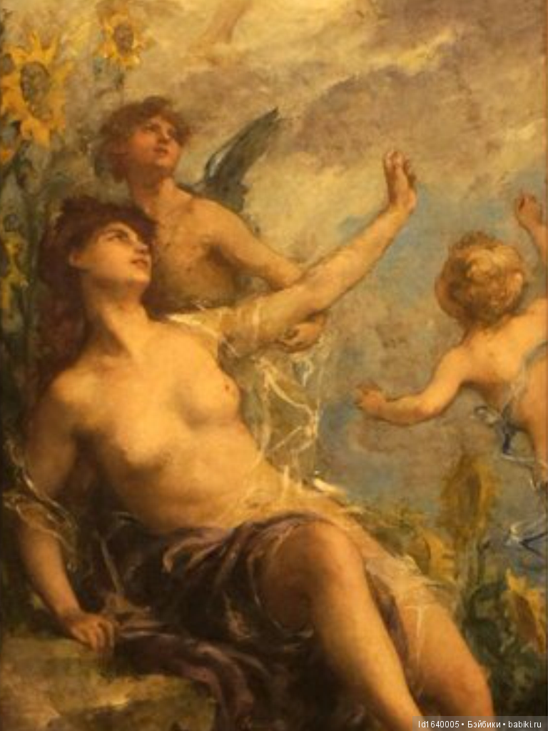 Когда отцветает гелиантус. Солнечный цветок