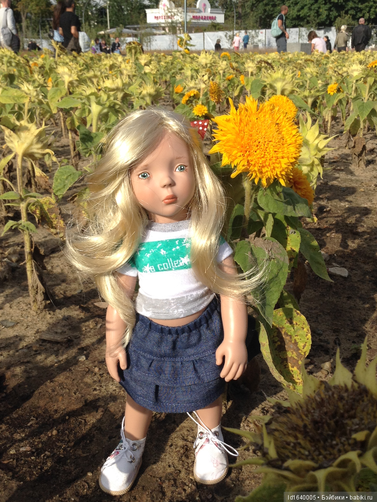 Когда отцветает гелиантус. Солнечный цветок