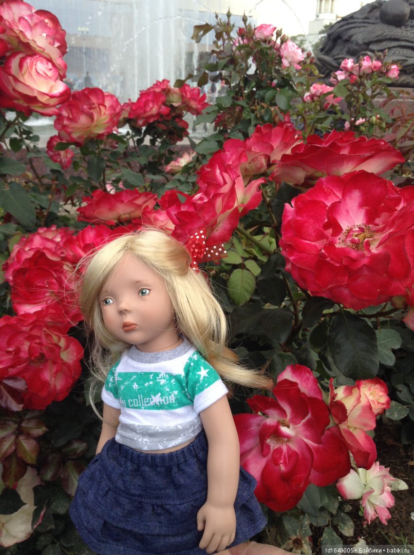 Когда отцветает гелиантус. Солнечный цветок