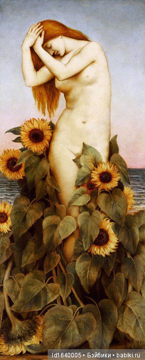 Когда отцветает гелиантус. Солнечный цветок