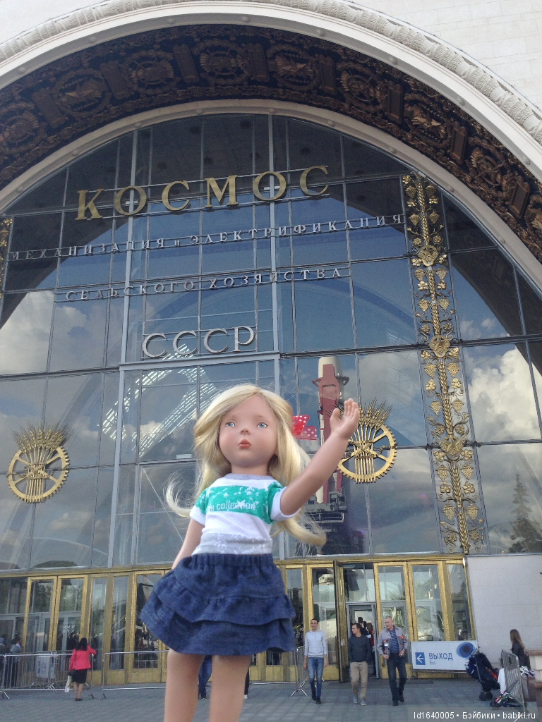 Когда отцветает гелиантус. Солнечный цветок