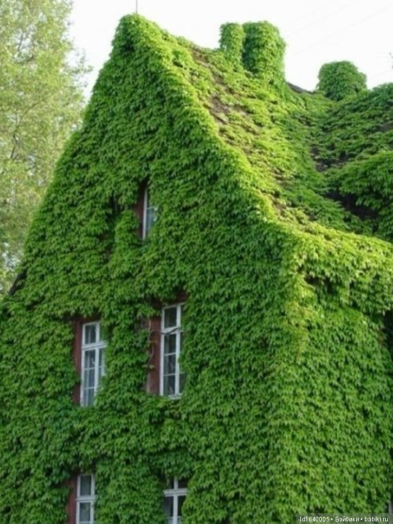 Лялька приехала — Игровые куклы Zwergnase (Цвергназе) Junior: Джуниор (фото 5)