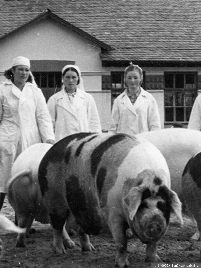 Прогулки с куклами по "территории праздника". Легенды и призраки СССР и быль 80-летней красавицы. Ч.1