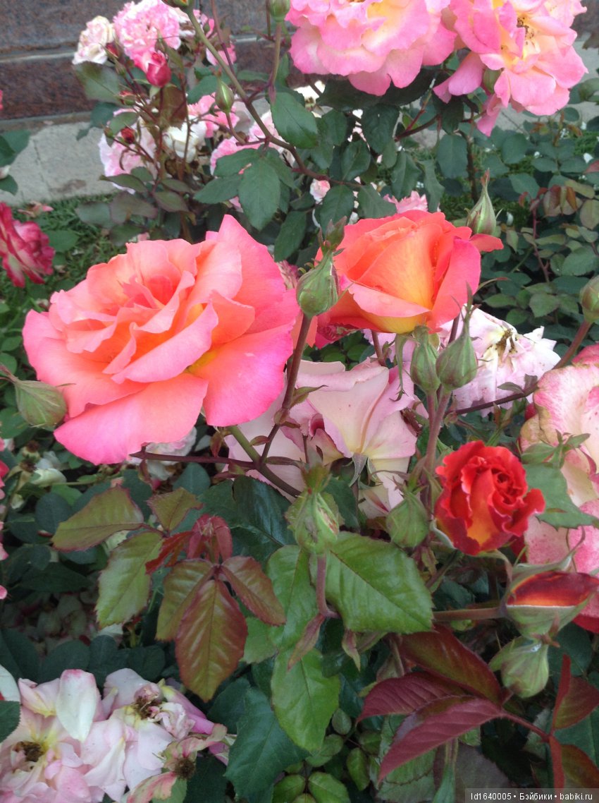 Прогулки с куклами по "территории праздника". Легенды и призраки СССР и быль 80-летней красавицы . Ч.2