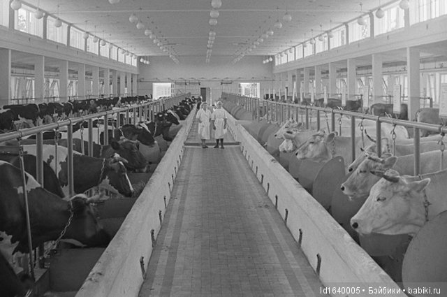 Прогулки с куклами по "территории праздника". Легенды и призраки СССР и быль 80-летней красавицы. Ч.1