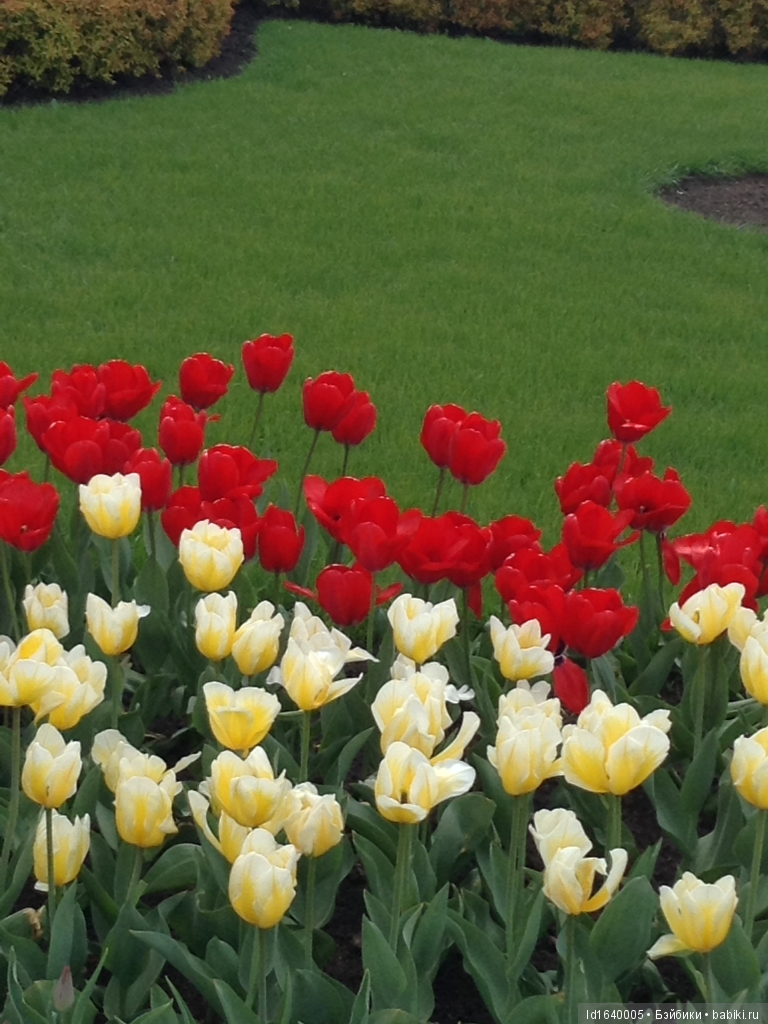 Прогулки с куклами по "территории праздника". Легенды и призраки СССР и быль 80-летней красавицы . Ч.2