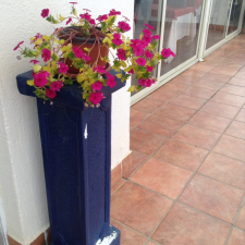 Путешествие с Минуш по Сицилии. Ч.1 Вещий сон Мартина