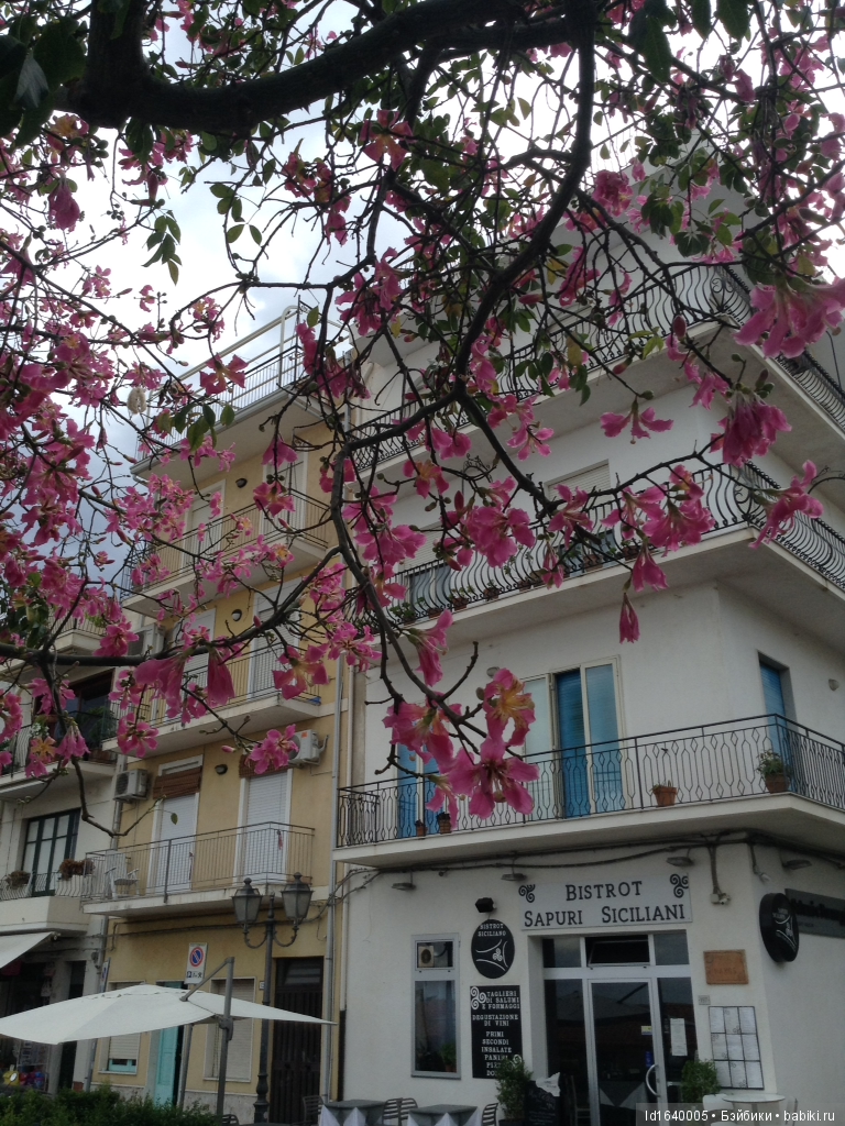 Путешествие Минуш по Сицилии. Ч.3. Прогулки от рассвета до заката