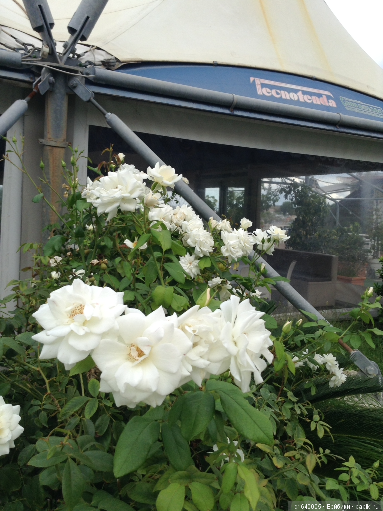 Путешествие Минуш по Сицилии. Ч.3. Прогулки от рассвета до заката