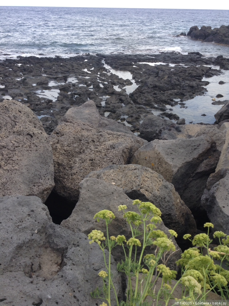 Путешествие с Минуш по Сицилии. Ч.2. Следы древних эллинов в цитрусовых рощах