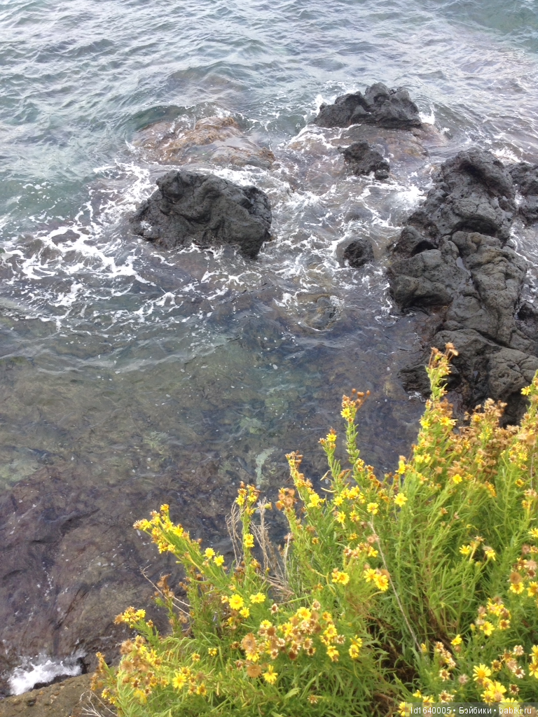 Путешествие с Минуш по Сицилии. Ч.2. Следы древних эллинов в цитрусовых рощах