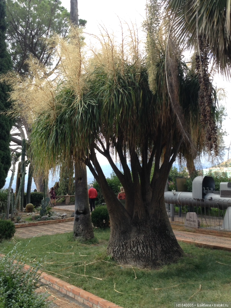 Путешествие с Минуш по Сицилии. Ч.4 Таормина - город с атмосферой счастья. Красивый остров Isola Bella