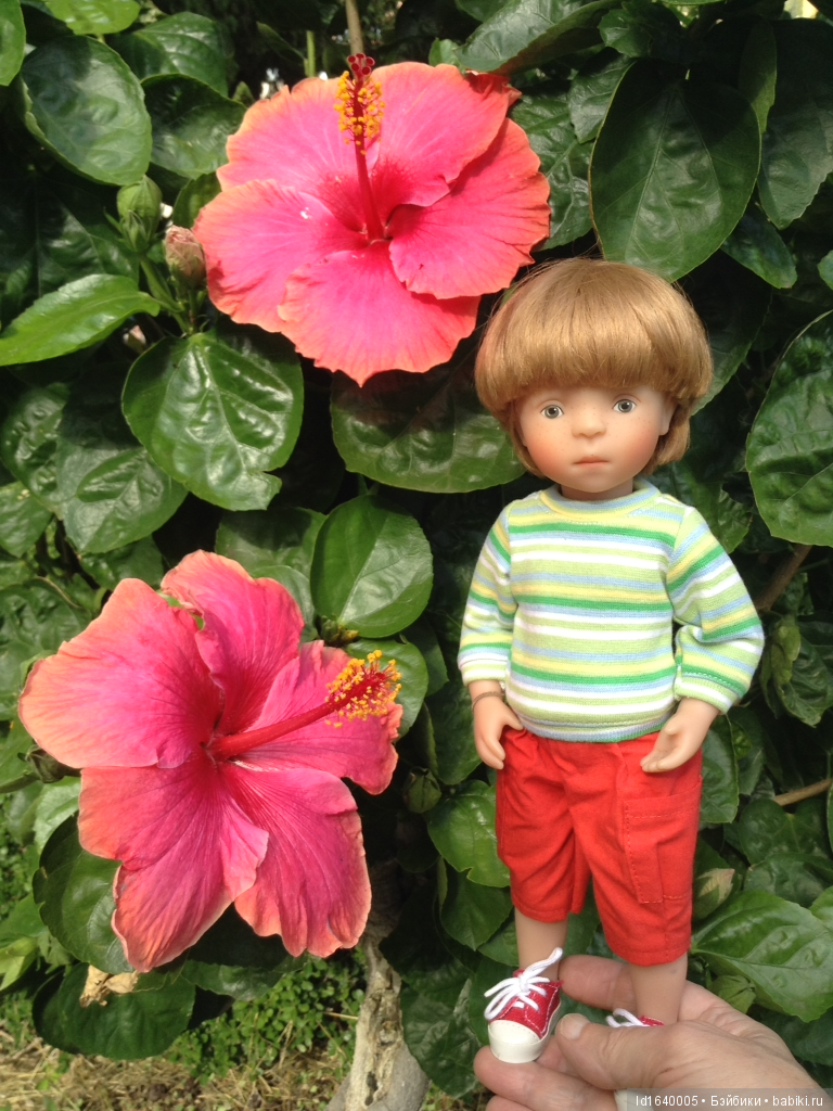 Путешествие с Минуш по Сицилии. Ч.4 Таормина - город с атмосферой счастья. Красивый остров Isola Bella