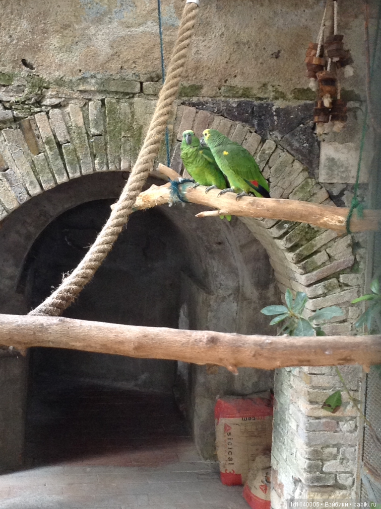 Путешествие с Минуш по Сицилии. Ч.4 Таормина - город с атмосферой счастья. Красивый остров Isola Bella