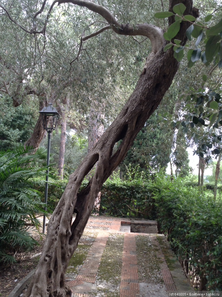 Путешествие с Минуш по Сицилии. Ч.4 Таормина - город с атмосферой счастья. Красивый остров Isola Bella