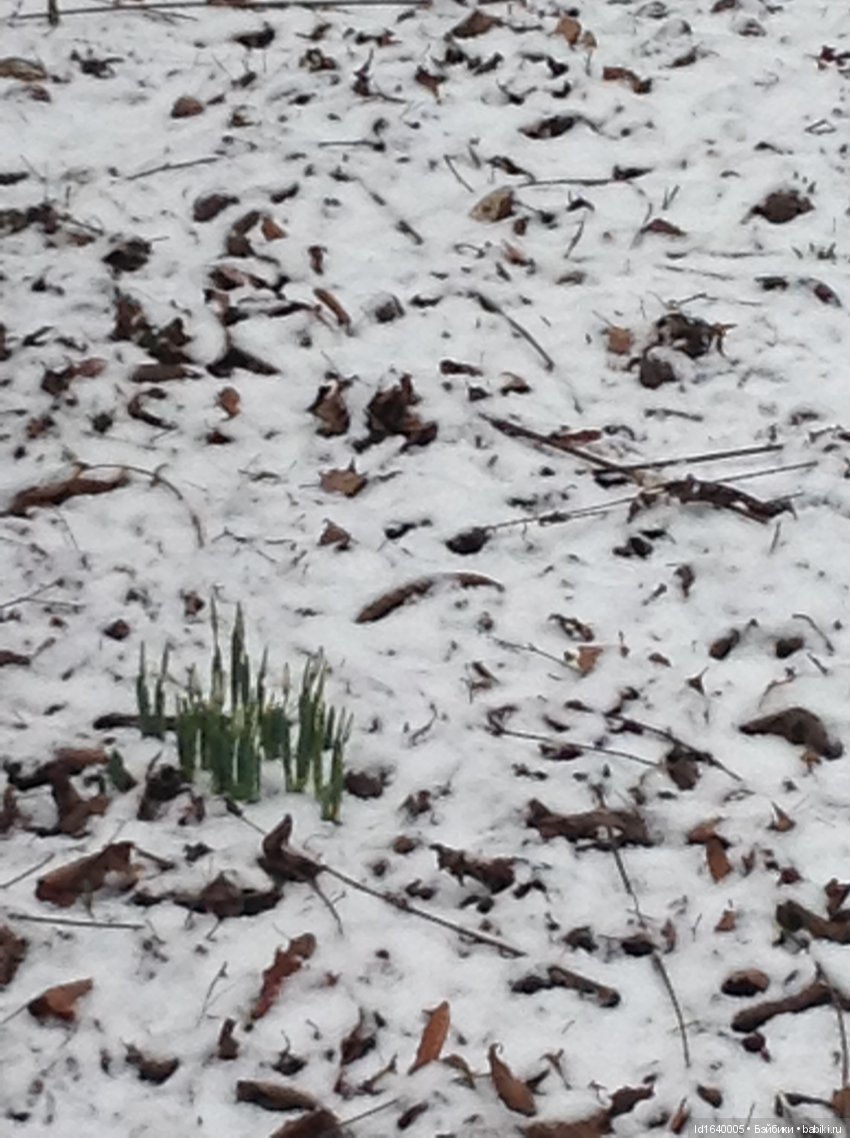 Лялькины каникулы ч.1. Если кому не верится