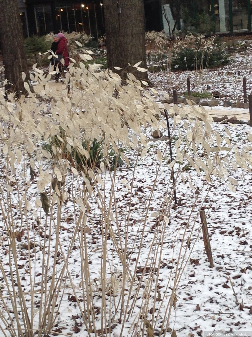 Лялькины каникулы ч.1. Если кому не верится