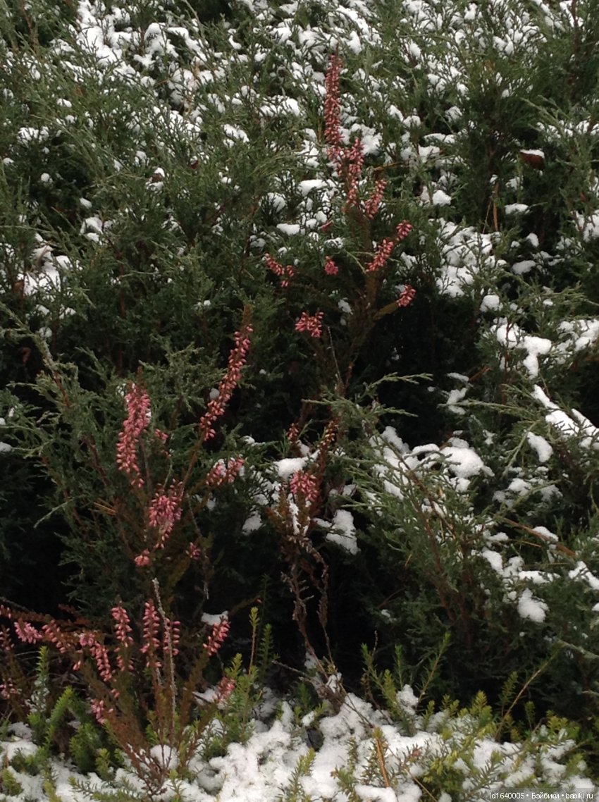 Лялькины каникулы ч.1. Если кому не верится