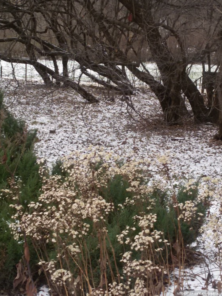 Лялькины каникулы ч.1. Если кому не верится