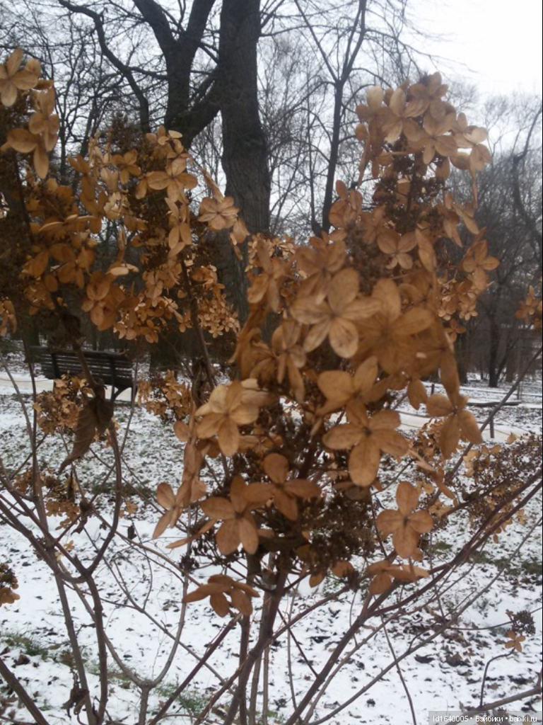 Лялькины каникулы ч.1. Если кому не верится