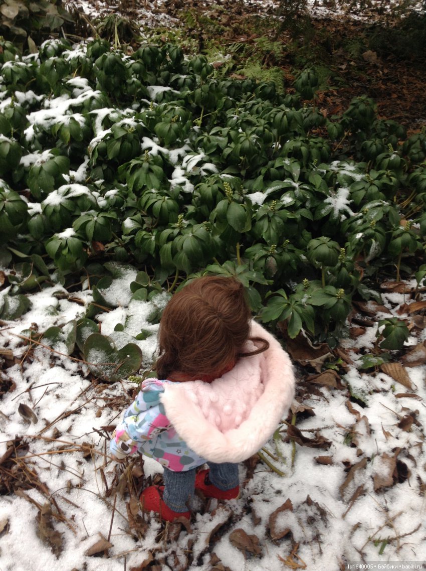 Лялькины каникулы ч.1. Если кому не верится