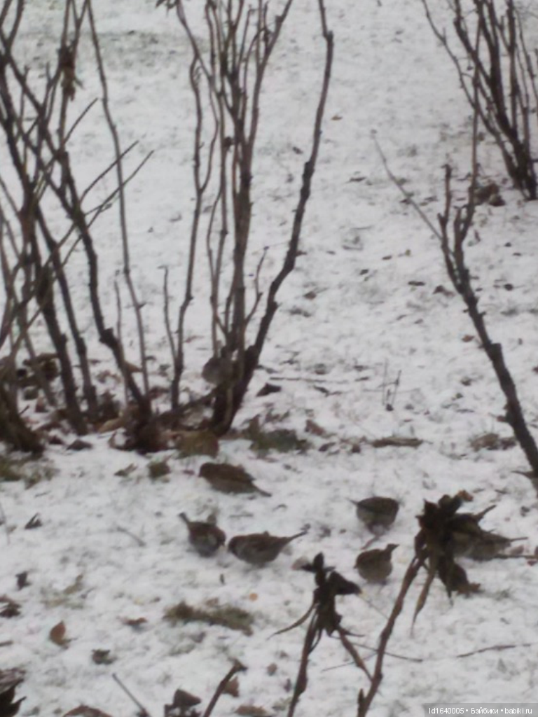 Лялькины каникулы ч.1. Если кому не верится