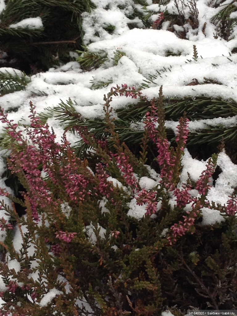 Лялькины каникулы ч.1. Если кому не верится