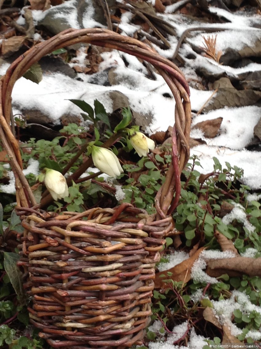 Лялькины каникулы ч.1. Если кому не верится