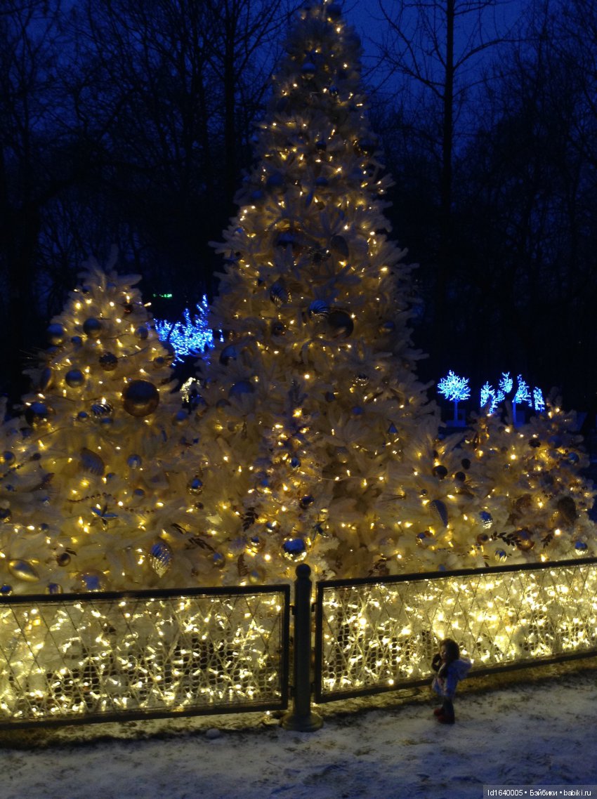 Лялькины каникулы. ч.2. В поисках друзей