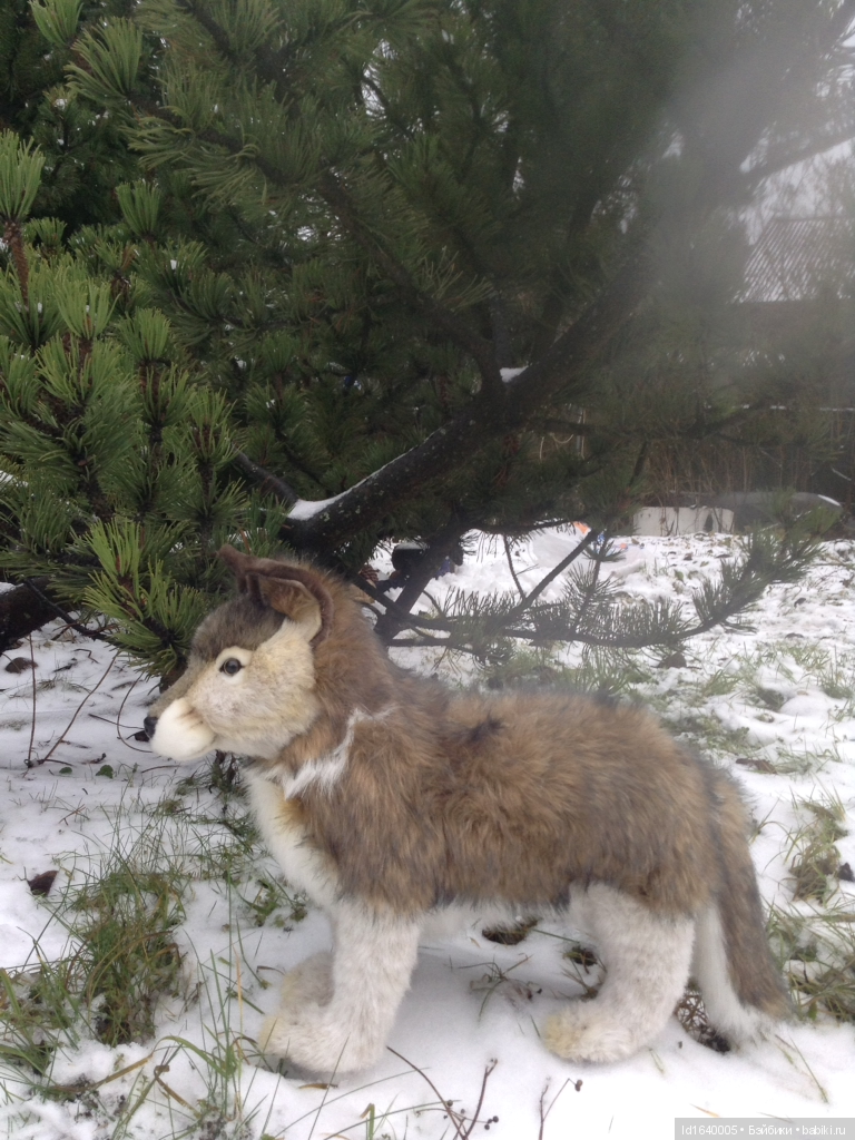 Лялькины каникулы. ч.3. Зимовщики