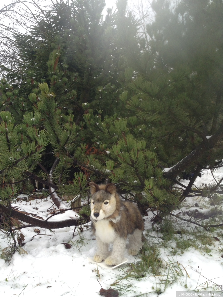 Лялькины каникулы. ч.3. Зимовщики