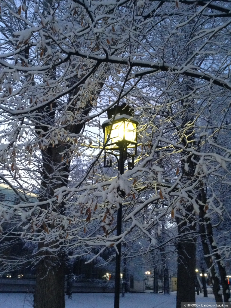 Лялькины каникулы. ч.4. Встреча друзей. Зимняя прогулка