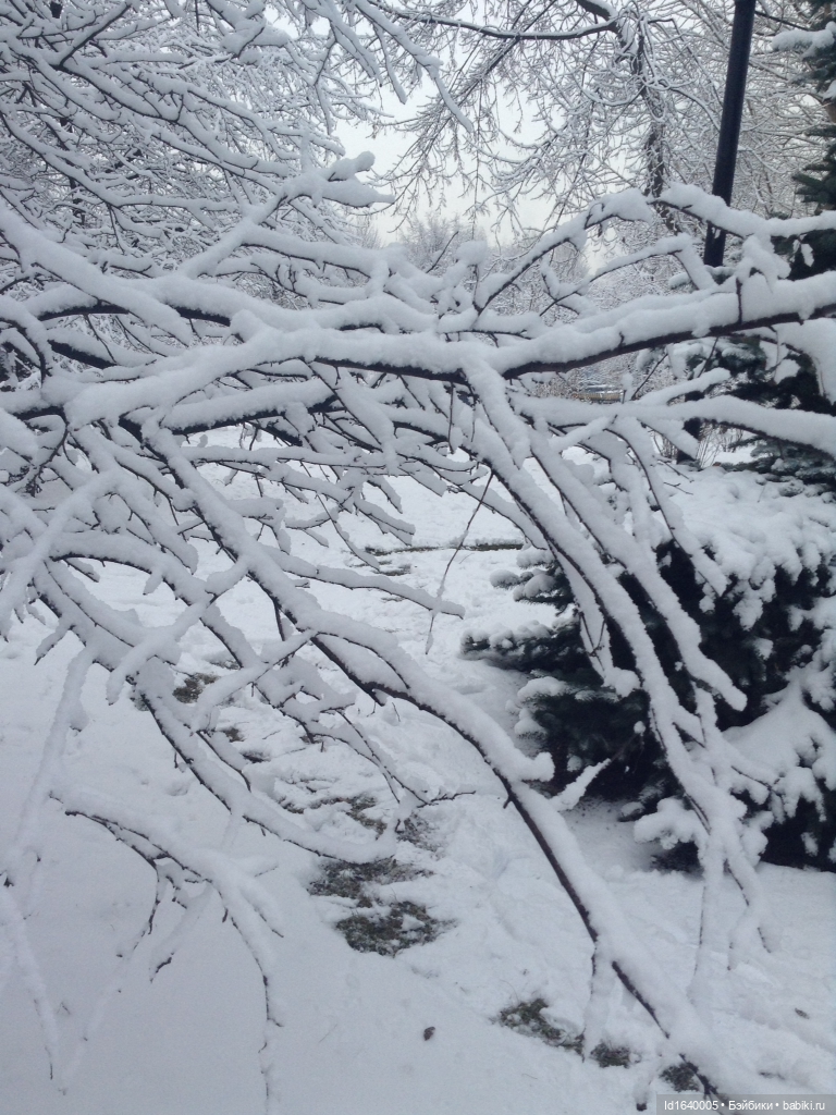 Лялькины каникулы. ч.4. Встреча друзей. Зимняя прогулка