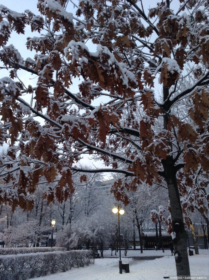 Лялькины каникулы. ч.4. Встреча друзей. Зимняя прогулка