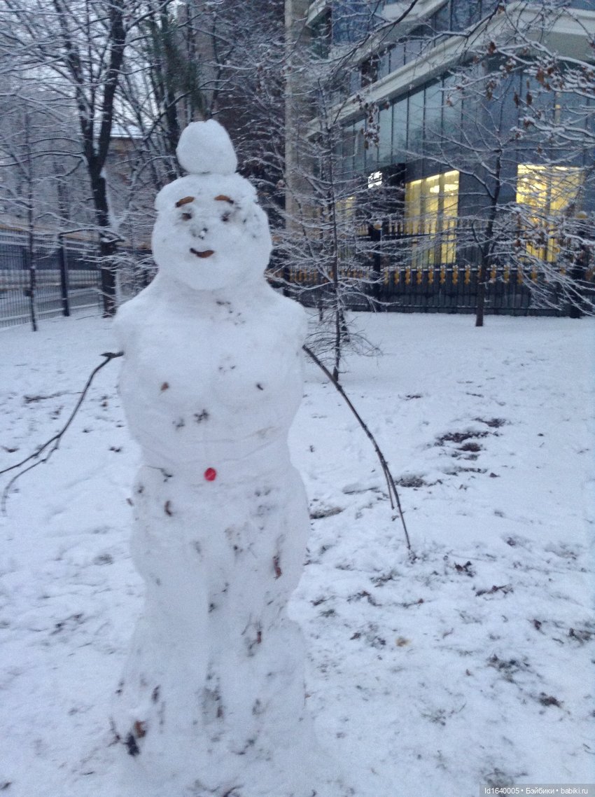 Лялькины каникулы. ч.4. Встреча друзей. Зимняя прогулка