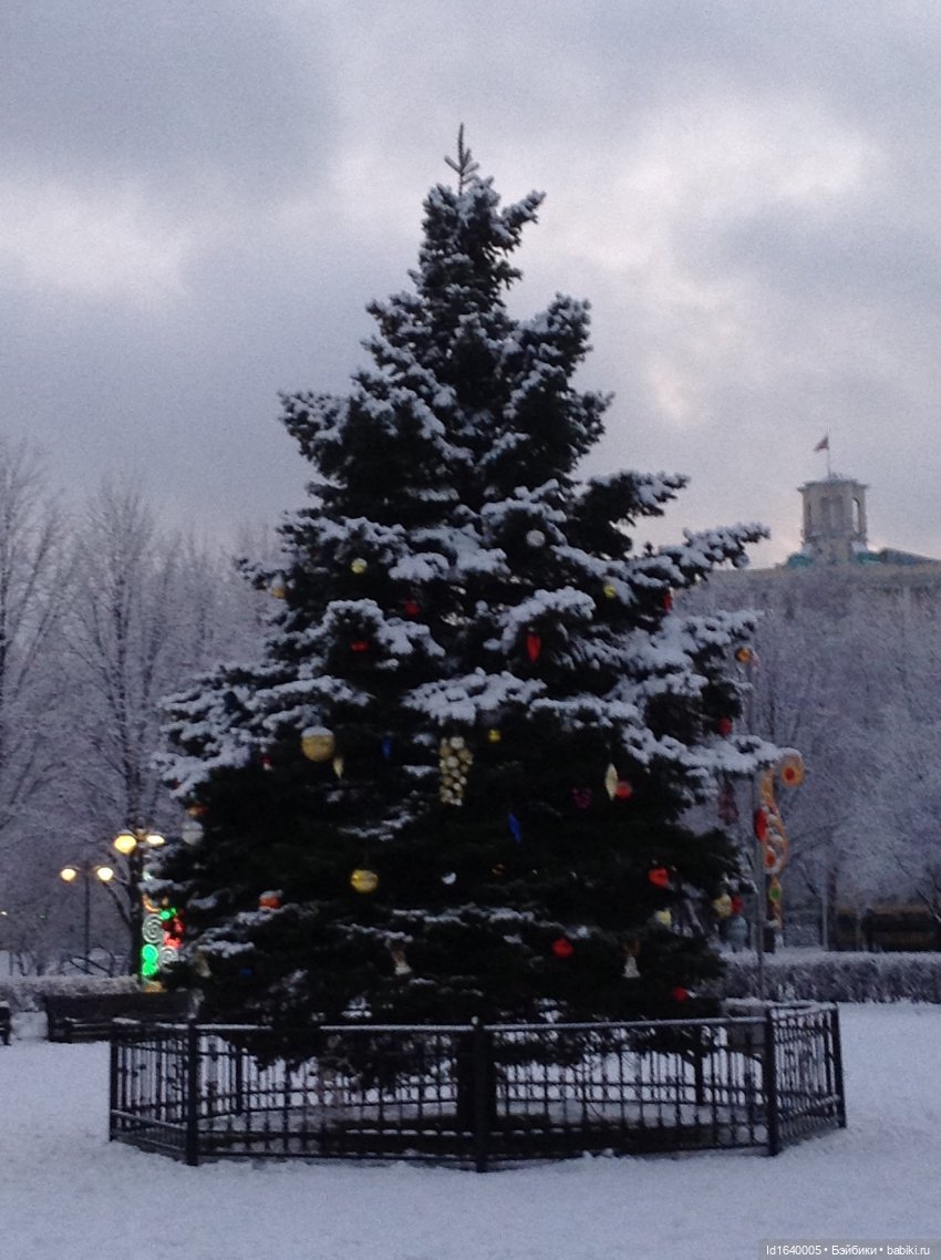 Лялькины каникулы. ч.4. Встреча друзей. Зимняя прогулка (фото 2)