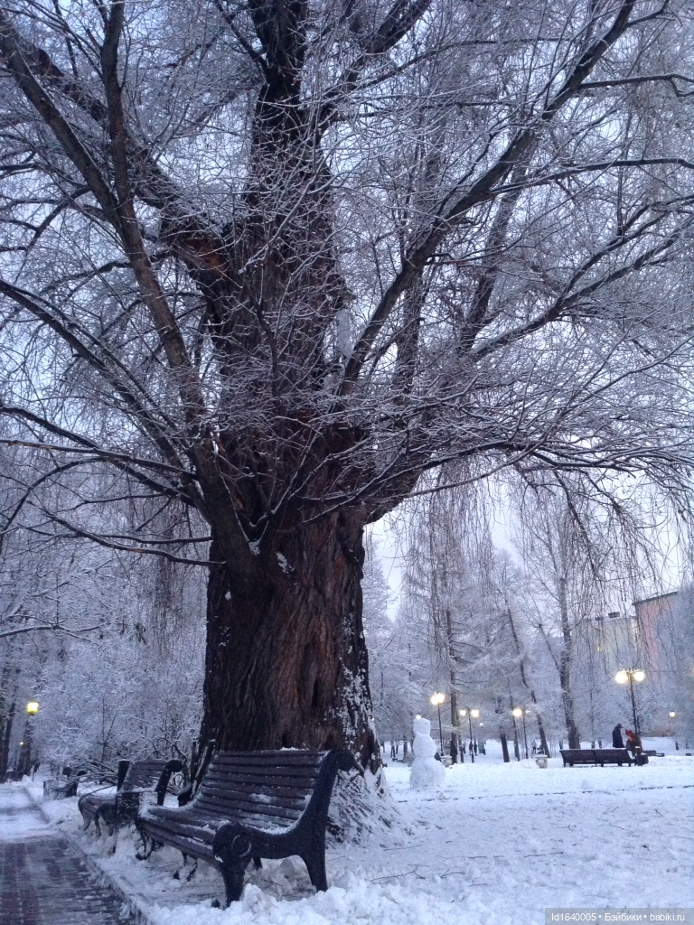 Лялькины каникулы. ч.4. Встреча друзей. Зимняя прогулка