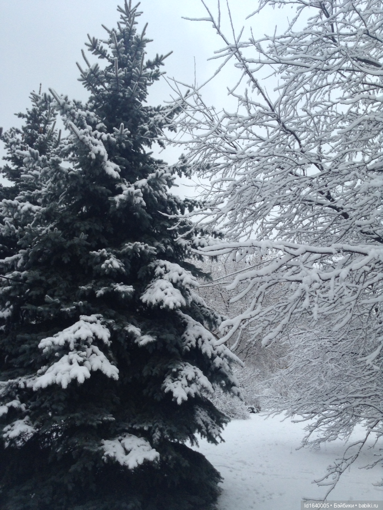 Лялькины каникулы. ч.4. Встреча друзей. Зимняя прогулка