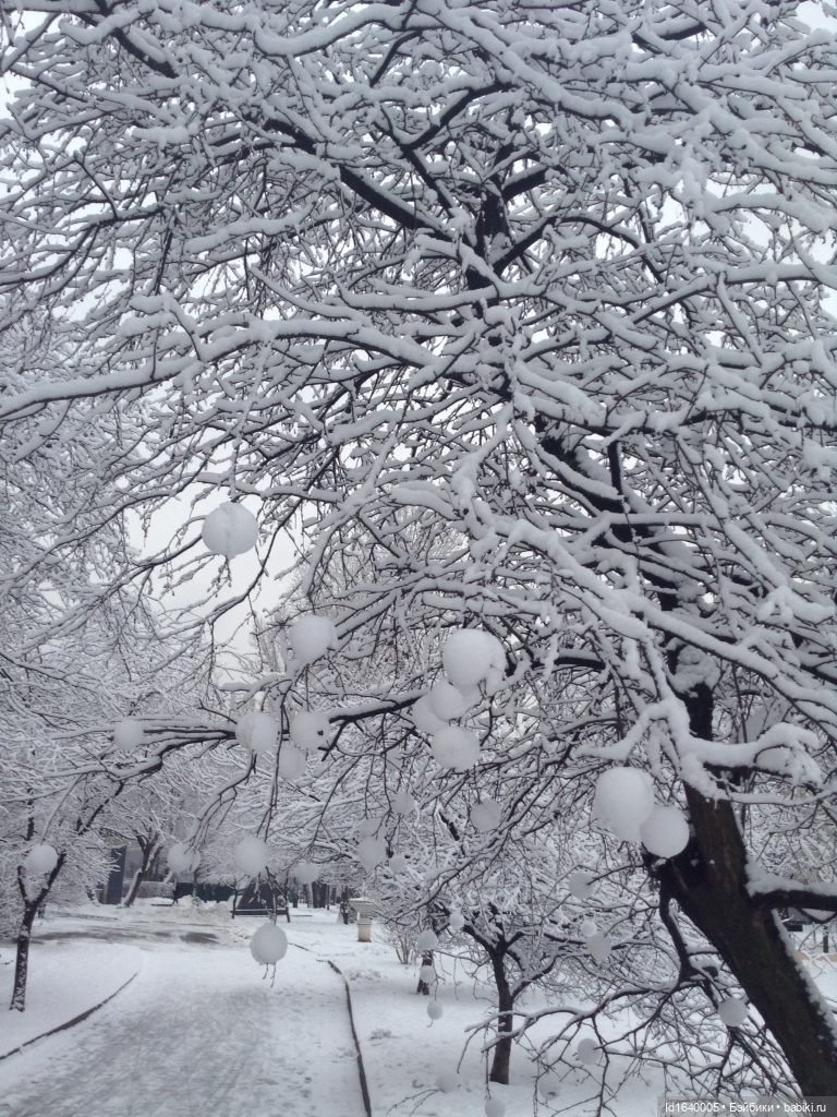 Лялькины каникулы. ч.4. Встреча друзей. Зимняя прогулка