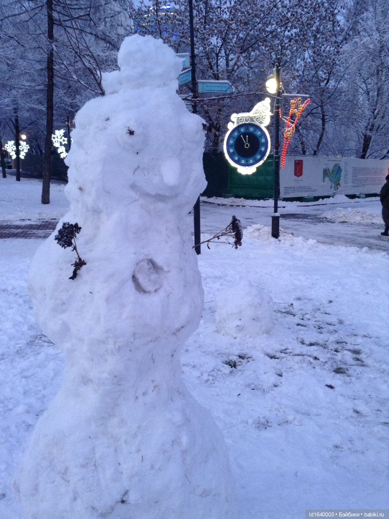 Лялькины каникулы. ч.4. Встреча друзей. Зимняя прогулка