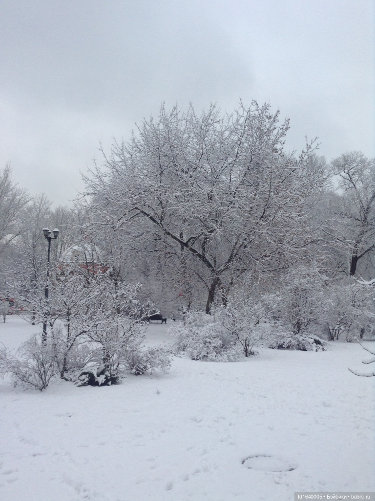 Лялькины каникулы. ч.4. Встреча друзей. Зимняя прогулка